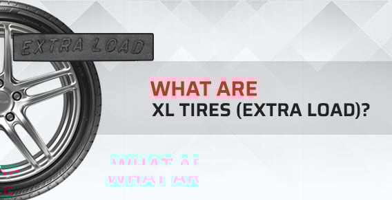 www.pitstoparabia.com
