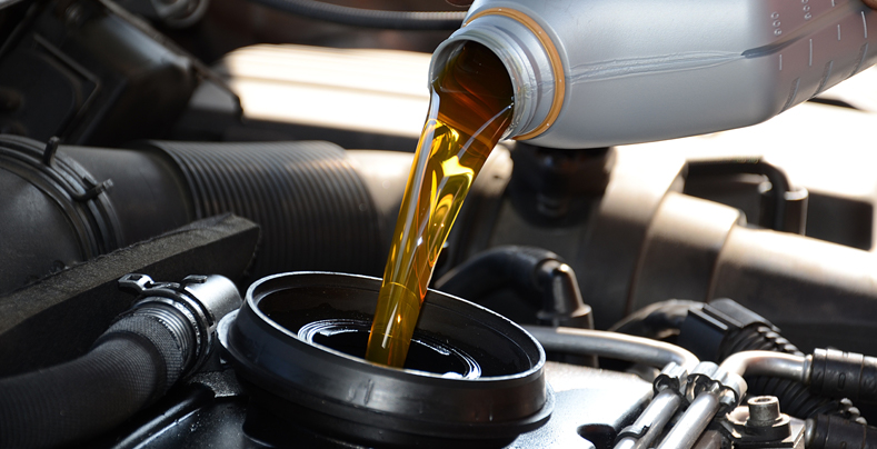 check oil and fluids in car
